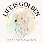 Life is Golden Dog Grooming